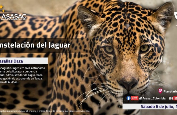 6 de julio de 2024 – La constelación del Jaguar