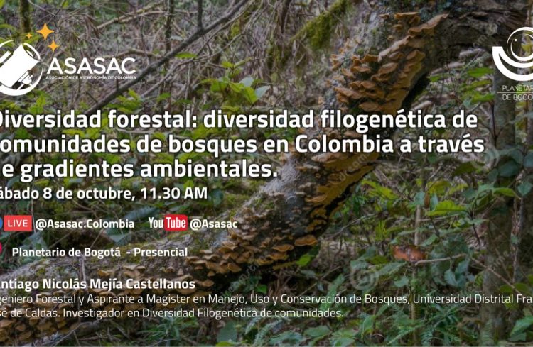 8 de octubre 2022 – Diversidad forestal: Diversidad filogenética de comunidades de bosques en Colombia